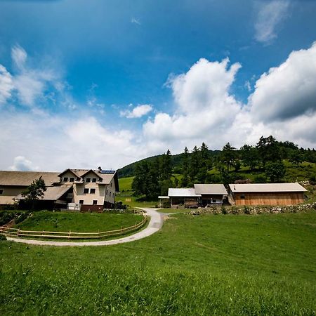 Tourist Farm Pr'Dovar Cerklje na Gorenjskem Exteriör bild