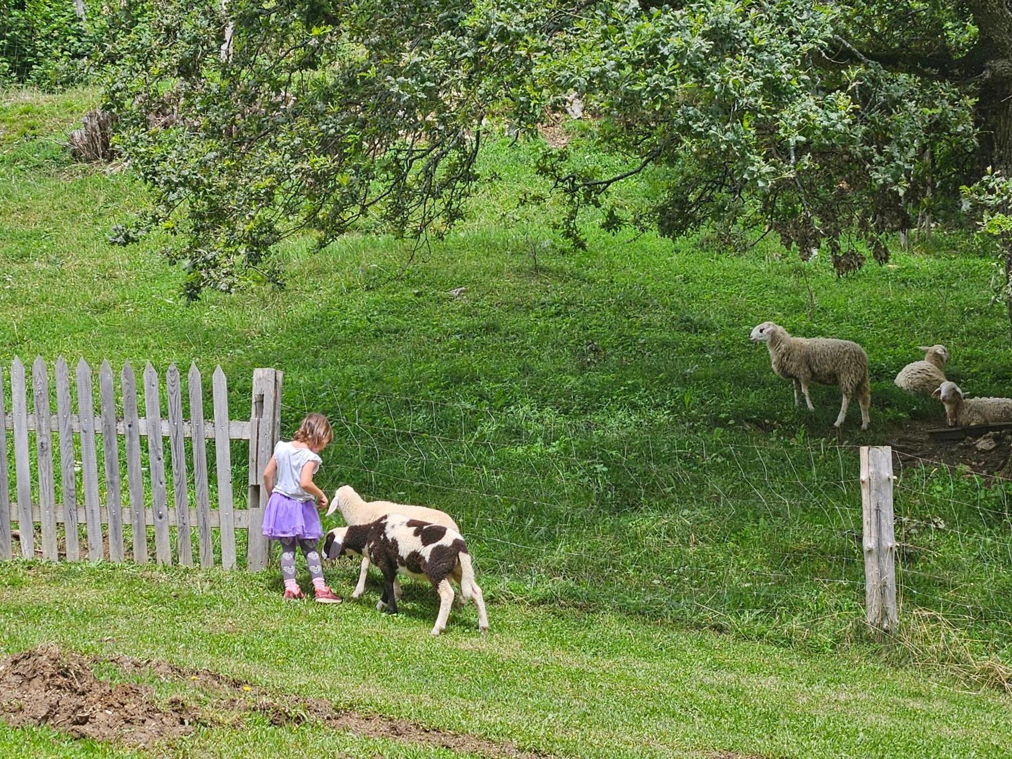 Tourist Farm Pr'Dovar Cerklje na Gorenjskem Exteriör bild